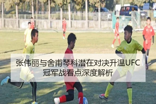 张伟丽与舍甫琴科潜在对决升温UFC冠军战看点深度解析